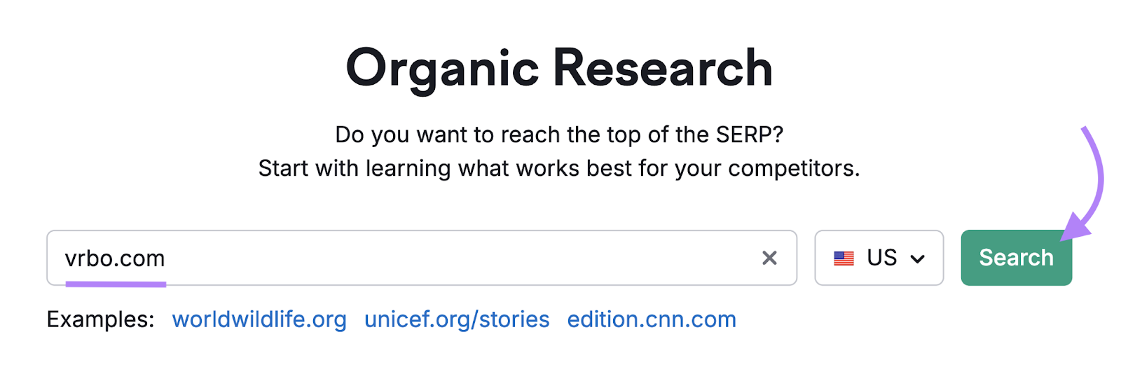 search for competitor in Organic Rankings tool