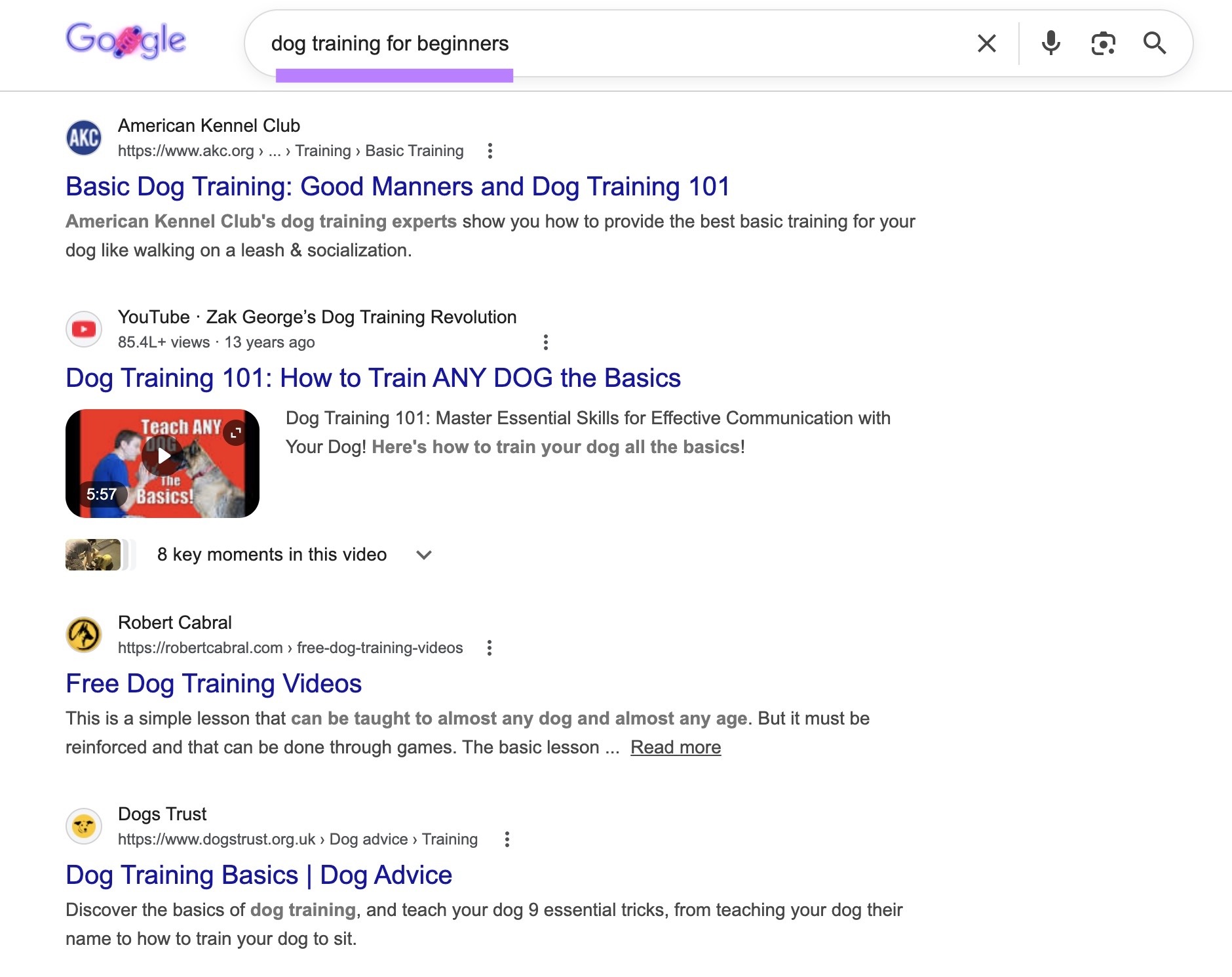 Google SERP for the term "dog training for beginners" showing how-to guides as the top results.