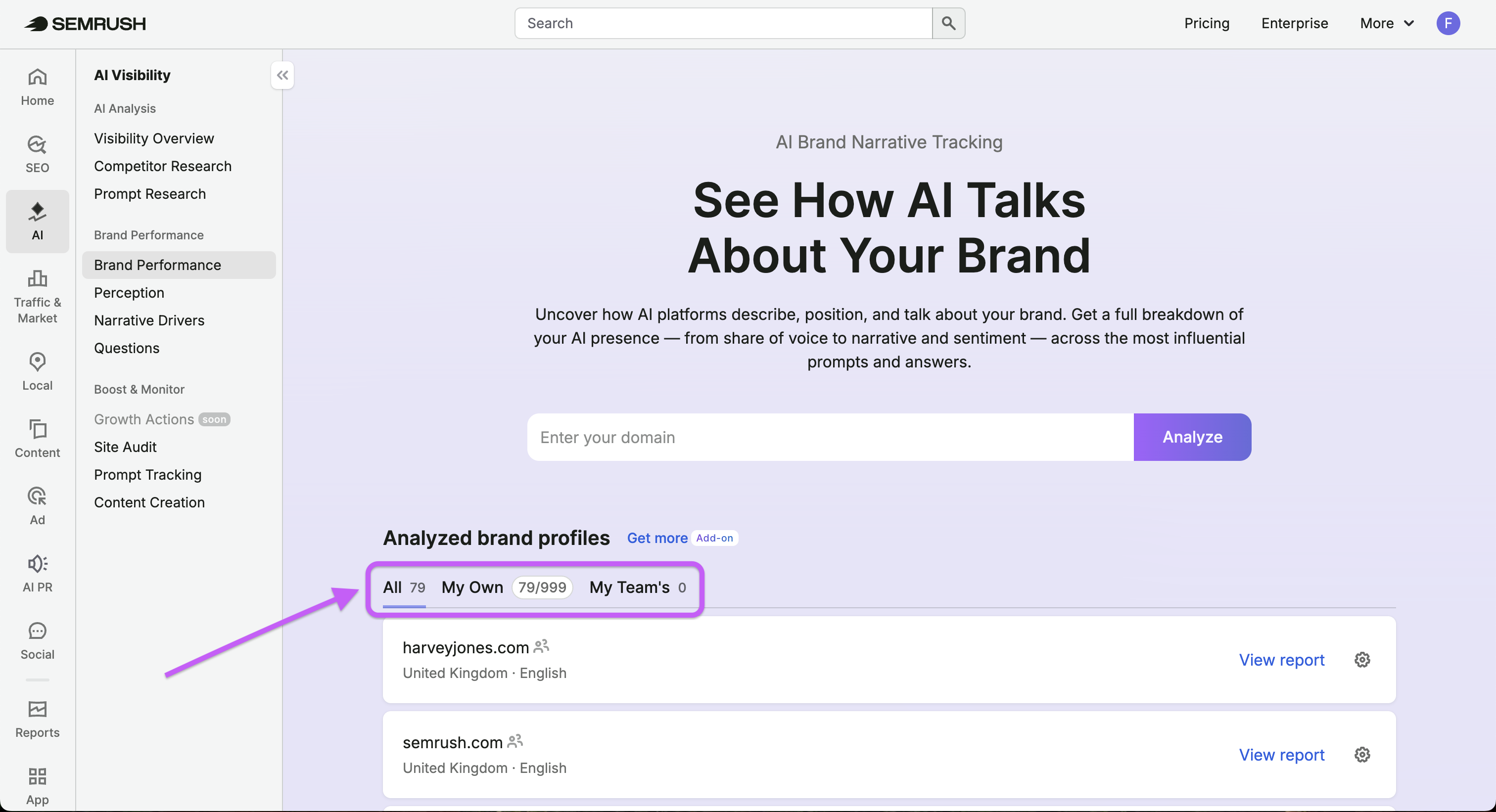 Brand Performance Reports image 17